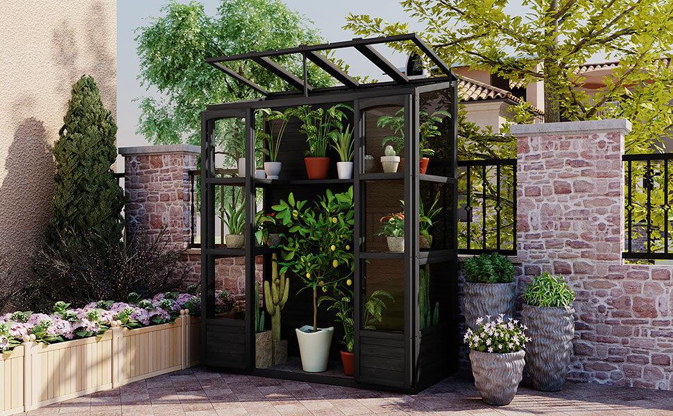 TOPMAX 78-Inch Wooden Greenhouse Cold Frame